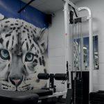 Everest Gym in Sudbury - Best gym in Suffolk - Website Image 6